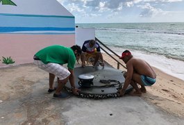 Objeto usado em pesca em alto mar é achado boiando em praia de Maceió