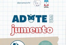 Projeto lança campanha de adoção de jumentos que seriam abatidos