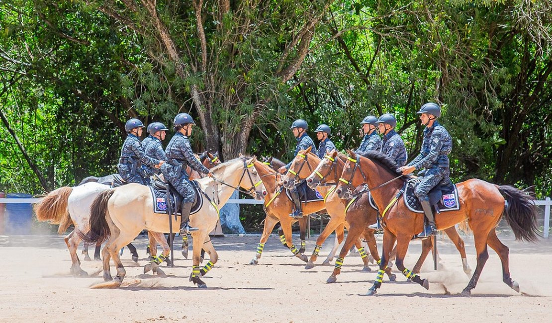 PM forma 10 militares no Curso de Policiamento Montado