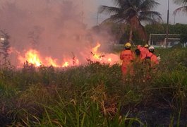 Vídeo. Incêndio de grandes proporções em vegetação assusta populares em bairro de Arapiraca