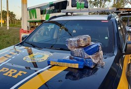 Passageiro de ônibus é preso após ser flagrado com 12kg de maconha em São Sebastião; material foi comprado no Paraná
