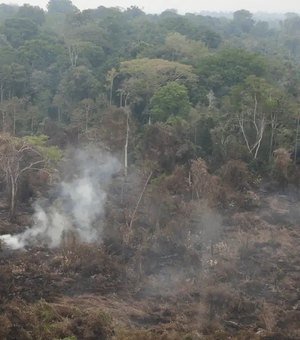 Delegado da PF diz que há indícios de ação coordenada em incêndios