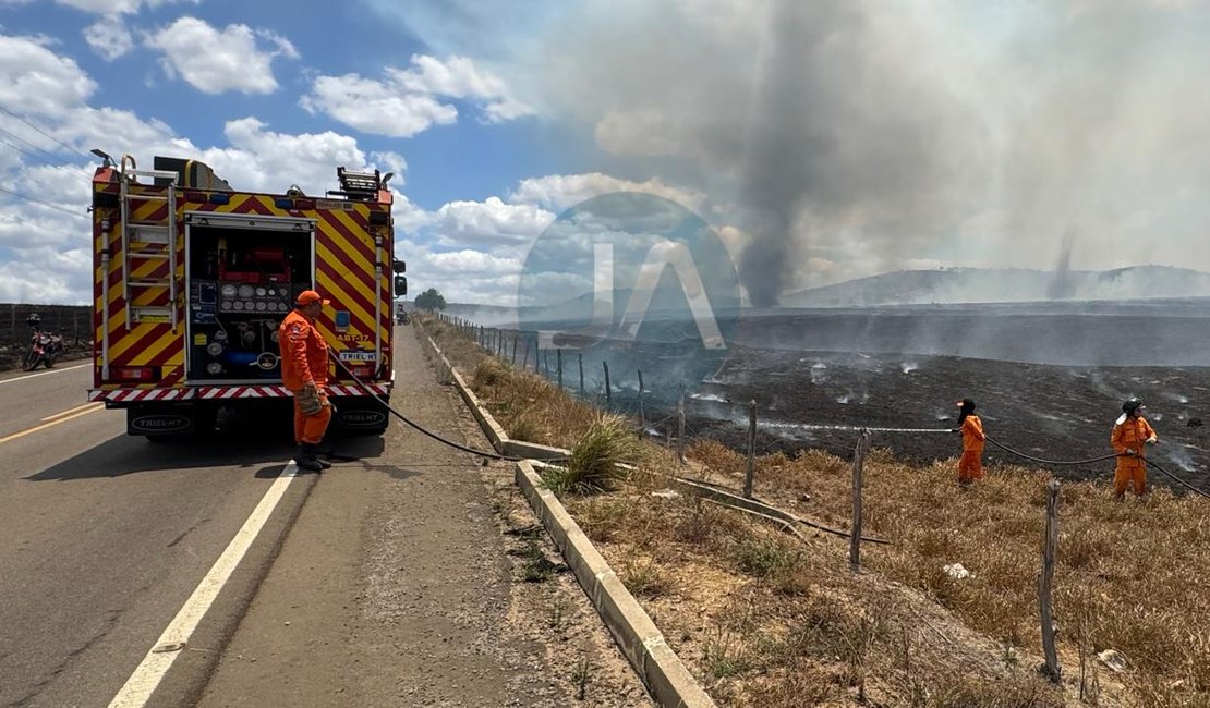 Incêndio atinge área de pastagem na zona rural de Arapiraca