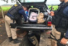 PRF apreende 56 pistolas em fundo falso de carro
