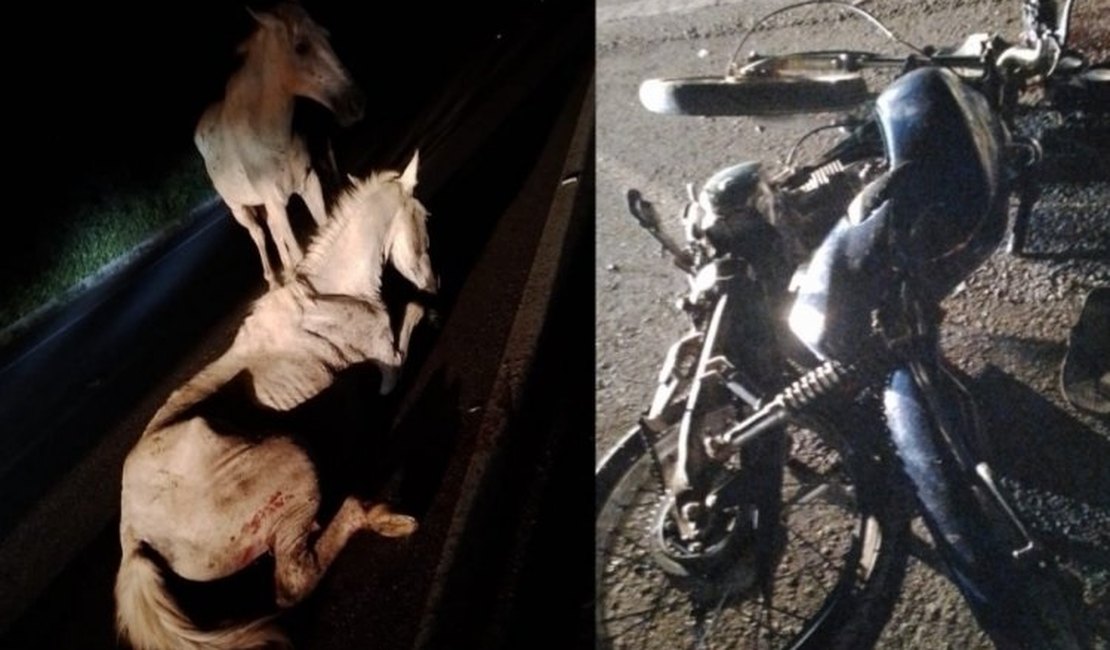 Condutor de motocicleta morre após colidir veículo contra animal no Sertão de Alagoas