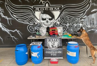 PM apreende cerca de 20kg de drogas, duas armas e dinheiro no interior de Alagoas
