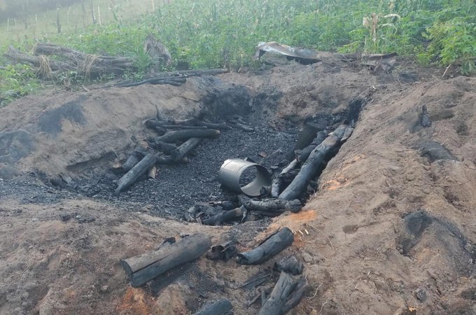Operação Protetor dos Biomas intensifica combate a crimes ambientais em Alagoas