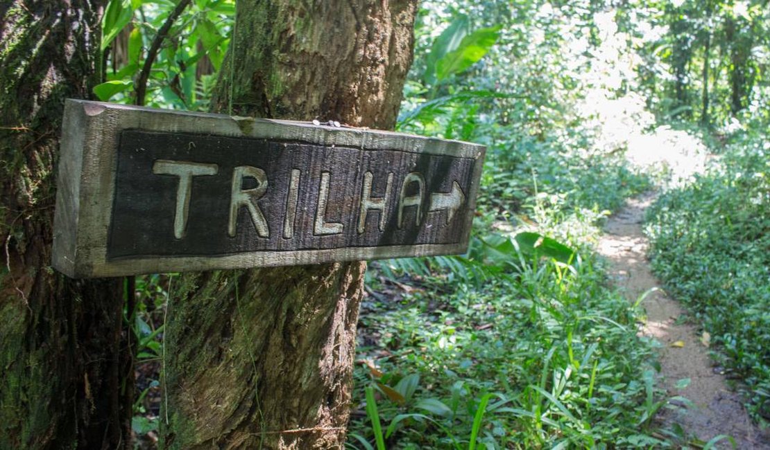 Adolescentes que desapareceram em trilha são encontrados em Delmiro Gouveia