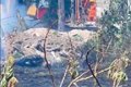 Bombeiros combatem incêndio às margens da AL-220 e evitam que fogo atinja fábrica de carrocerias, em Arapiraca
