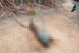 Corpo de jovem desaparecido em Pernambuco é encontrado no interior alagoano