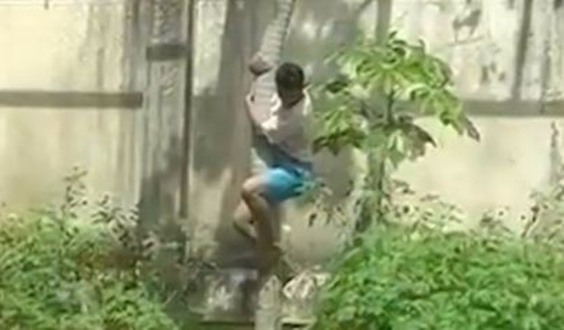 Vídeo: Homem é morto por leoa após entrar em jaula em zoológico de João Pessoa