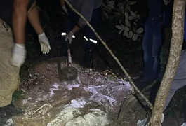 Dois corpos são encontrados enterrados lado a lado, amarrados e cobertos de cal, em Maceió