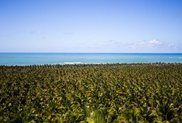 IMA multa motoristas que transitavam em área de desova de tartarugas na Praia do Gunga