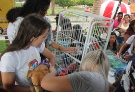 Feira de adoção de animais acontece no #VemProBosque deste domingo