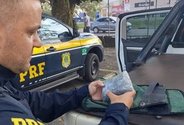 PRF apreende pedras preciosas avaliadas em R$ 128 milhões, em MG