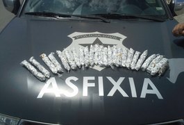 Polícia Civil apreende 755 bombinhas de maconha durante operação em Murici