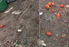 Polícia conclui que caseiro foi morto por ataque de porco em Teresina