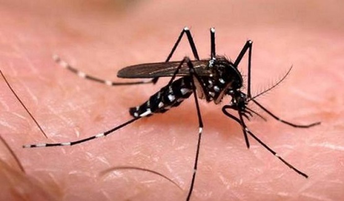 Anvisa aprova registro da primeira vacina contra a dengue no Brasil