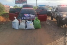 Cerca de 35kg de maconha que seriam levados de Arapiraca para Marechal são apreendidos durante abordagem