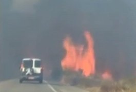 Bombeiros passam mais de 5h tentando apagar incêndio de grandes proporções na AL 101