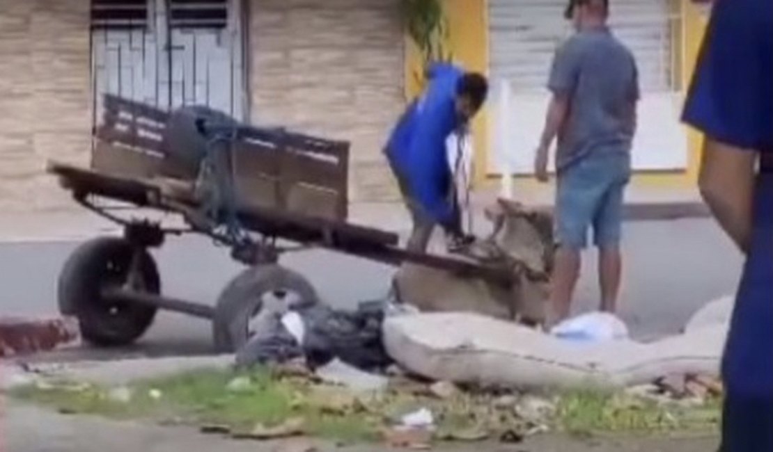 Vídeo. PC abre inquérito para investigar homem agredindo animal, em Alagoas
