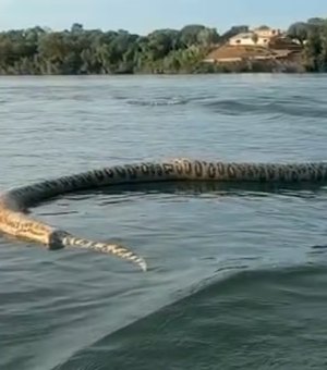 Comerciante filma cobra gigante morta durante passeio de barco