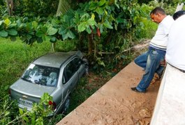 Carro despenca de ponte após motorista tentar desviar de cachorro na pista