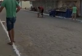 Vídeo mostra pitbull atacando vira-lata na rua