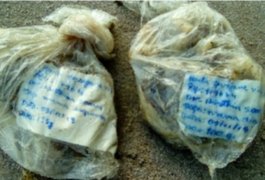 Banhista encontra restos cirúrgicos flutuando na praia de Ponta Verde, em Maceió
