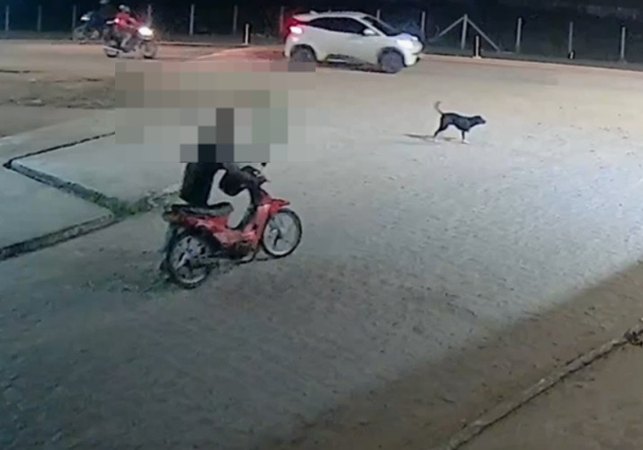 Homem é flagrado com cinquentinha furtada em imagens de câmeras de monitoramento, em Arapiraca