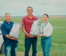 Alagoas fecha ano com investimentos positivos para agricultura e pecuária