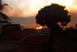 Vídeo. Incêndio de grandes proporções atinge vegetação na zona rural de Belém