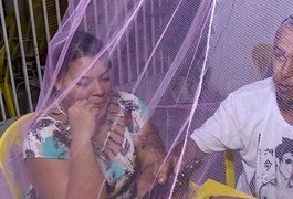 Para afastar pernilongos, dona de bar em PE instala mosquiteiros nas mesas