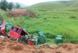 Carreta tomba e motorista morre na BR-101