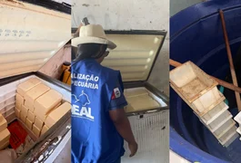 Fiscalização fecha queijaria que funcionava de forma irregular em São José da Tapera