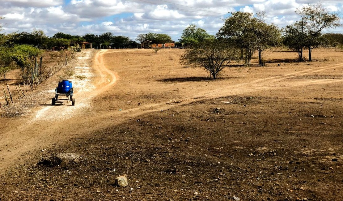 Novo decreto reconhece situação de emergência por causa da seca em 38 municípios de Alagoas