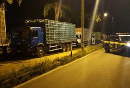 PRF apreende oito veículos com mercadorias sem nota fiscal no Agreste
