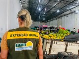 Emater e Fapeal lançam edital para bolsas de extensão em diversas áreas