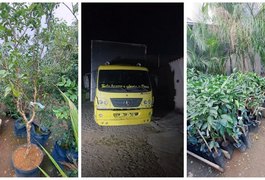 Dono de floricultura é preso após furtar R$ 300 mil em mudas de concorrente