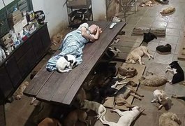 Dono de abrigo precisa de ajuda após gastar tudo para cuidar de 800 cães em Marechal Deodoro