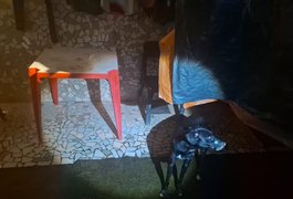 Polícia Militar prende suspeito de vedar boca de cachorro com fita isolante em Maceió