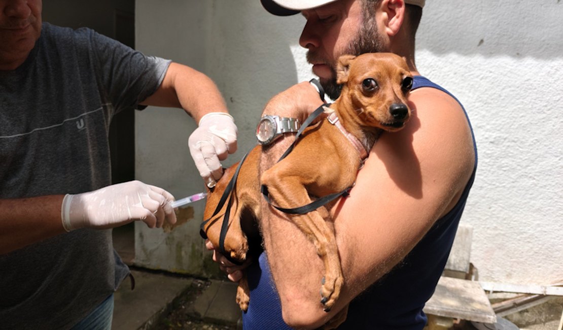 Campanha antirrábica 2026 começa dia 3 de novembro em Penedo