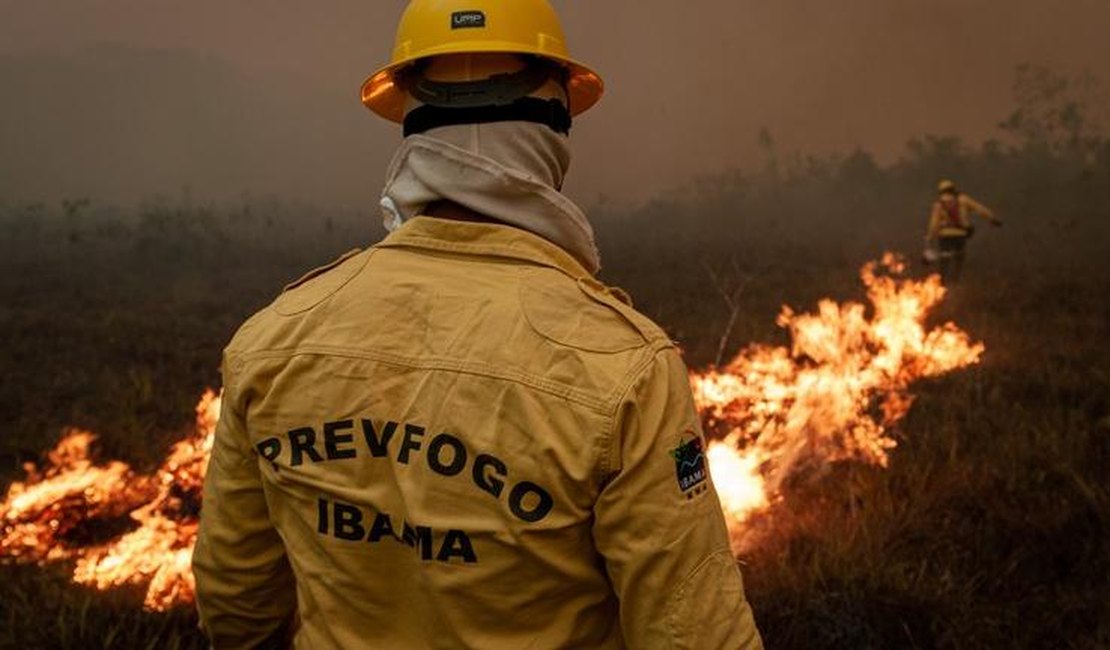 Ibama publica cinco editais de concursos com mais de 1.300 vagas em 16 estados; saiba mais