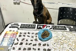 Homem é preso por tráfico após cão farejador localizar drogas em residência em Arapiraca