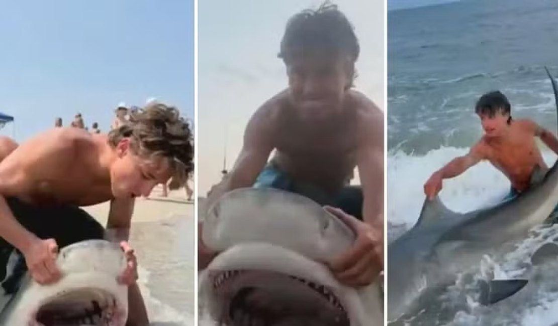 'Trend' leva pessoas a puxar tubarões para a praia para fotos e preocupa prefeito nos EUA