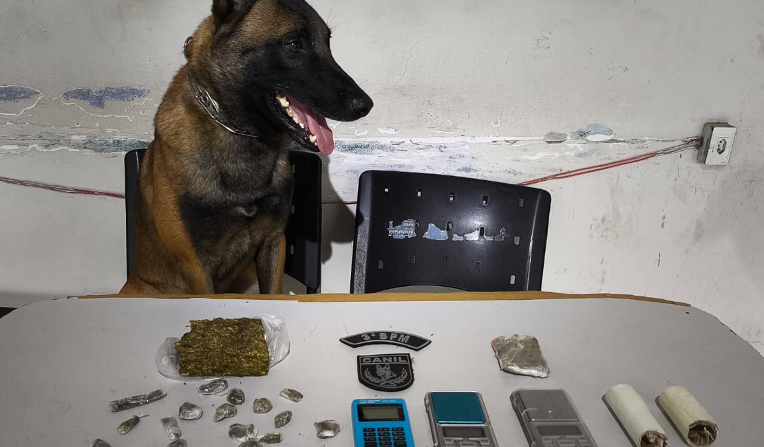 Suspeito é preso com maconha e balanças de precisão, durante cumprimento de mandado em Arapiraca