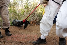 Cadáver é encontrado decapitado e em decomposição, em Garanhuns