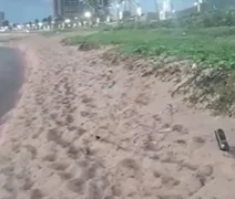 Associação denuncia, no MPF, desvio ilegal do Rio Jacarecica e ameaça ambiental em Maceió