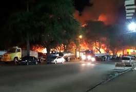 Em Palmeira dos Índios incêndio destrói área de vegetação
