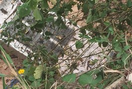 Jovem é encontrado morto dentro de geladeira em Maceió